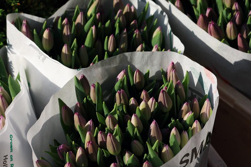 37-Amsterdam,31 maggio 2010.JPG
